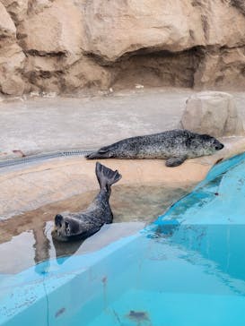 マリンワールド海の中道に投稿された画像（2024/9/15）