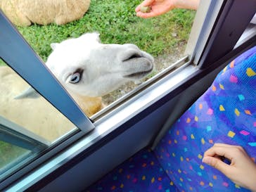 岩手サファリパークに投稿された画像（2024/9/15）