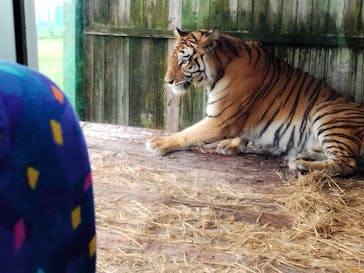 岩手サファリパークに投稿された画像（2024/9/15）