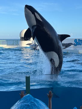 鴨川シーワールドに投稿された画像（2024/9/15）