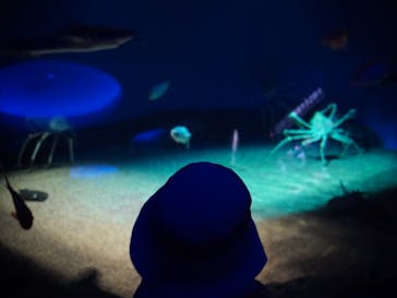 アクアワールド茨城県大洗水族館に投稿された画像（2024/9/15）