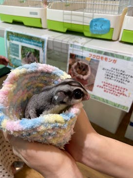 いきもの探検隊湘南に投稿された画像（2024/9/15）