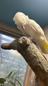 那須どうぶつ王国に投稿された画像（2024/9/15）