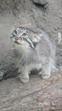 神戸どうぶつ王国に投稿された画像（2024/9/15）