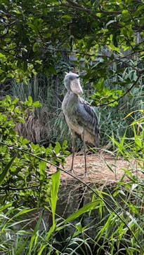 神戸どうぶつ王国に投稿された画像（2024/9/15）