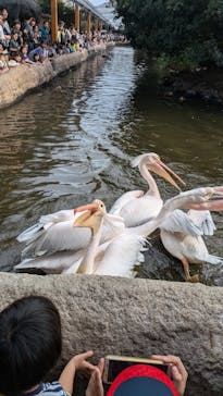 神戸どうぶつ王国に投稿された画像（2024/9/15）