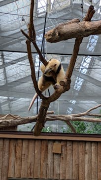 神戸どうぶつ王国に投稿された画像（2024/9/15）