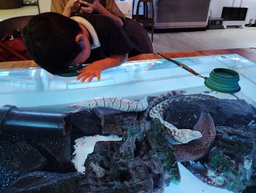 ゼロ距離水族館 伊勢シーパラダイスに投稿された画像（2024/9/15）