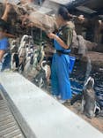 京都水族館に投稿された画像（2024/9/16）
