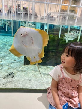 NIFREL（ニフレル）に投稿された画像（2024/9/15）