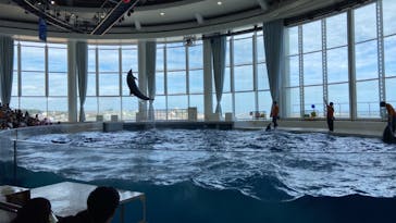 アクアワールド茨城県大洗水族館に投稿された画像（2024/9/16）