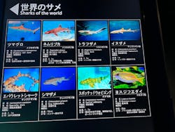 アクアワールド茨城県大洗水族館に投稿された画像（2024/9/16）