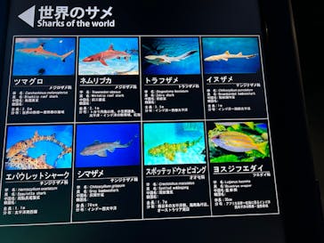 アクアワールド茨城県大洗水族館に投稿された画像（2024/9/16）