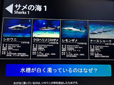 アクアワールド茨城県大洗水族館に投稿された画像（2024/9/16）