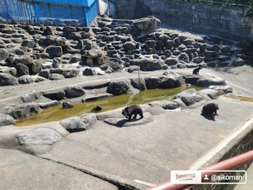 奥飛騨クマ牧場に投稿された画像（2024/9/16）