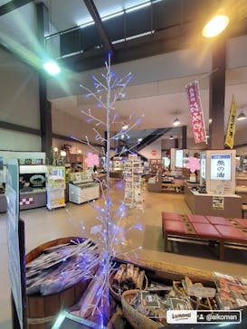 奥飛騨クマ牧場に投稿された画像（2024/9/16）