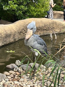 神戸どうぶつ王国に投稿された画像（2024/9/16）
