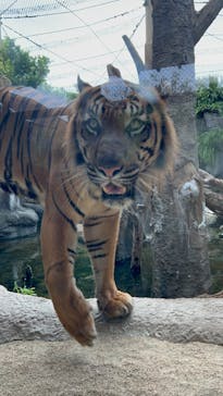 神戸どうぶつ王国に投稿された画像（2024/9/16）