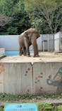 宇都宮動物園に投稿された画像（2024/9/16）