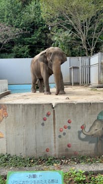 宇都宮動物園に投稿された画像（2024/9/16）