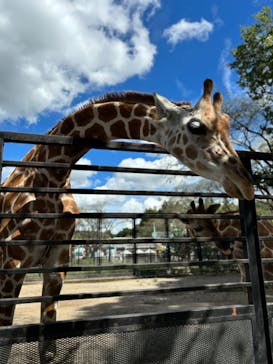 宇都宮動物園に投稿された画像（2024/9/16）