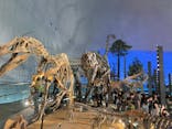 福井県立恐竜博物館に投稿された画像（2024/9/16）