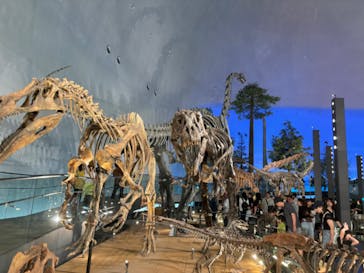 福井県立恐竜博物館に投稿された画像（2024/9/16）