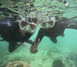 沖縄マリンサービス碧に投稿された画像（2024/9/16）