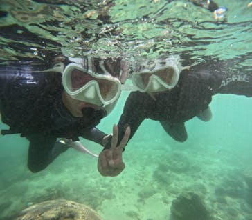 沖縄マリンサービス碧に投稿された画像（2024/9/16）