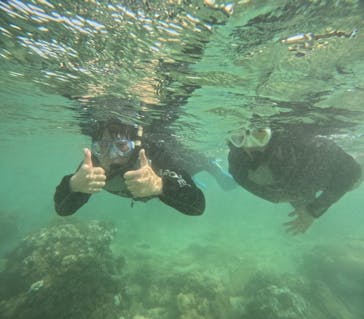 沖縄マリンサービス碧に投稿された画像（2024/9/16）