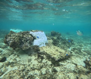 沖縄マリンサービス碧に投稿された画像（2024/9/16）