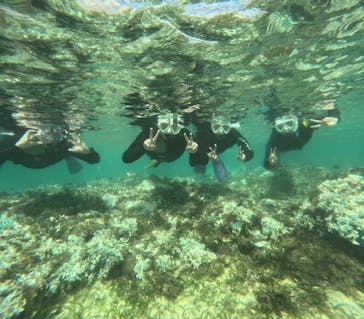 沖縄マリンサービス碧に投稿された画像（2024/9/16）