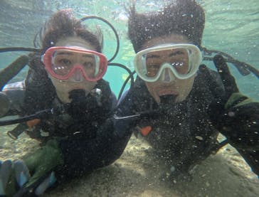 武藤潜水に投稿された画像（2024/9/16）