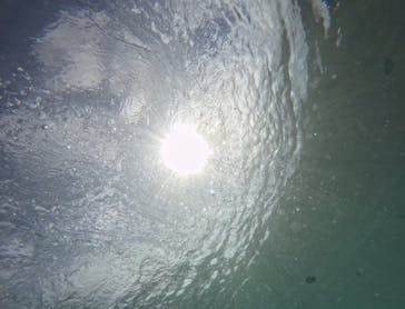 武藤潜水に投稿された画像（2024/9/16）