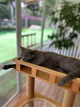 東武動物公園に投稿された画像（2024/9/16）