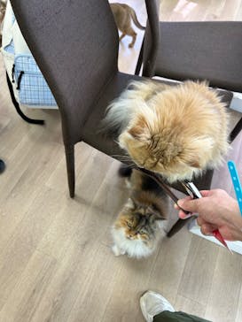 東武動物公園に投稿された画像（2024/9/16）