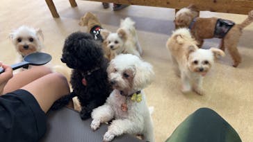 東武動物公園に投稿された画像（2024/9/16）