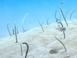 アクアワールド茨城県大洗水族館に投稿された画像（2024/9/16）