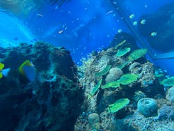 アクアワールド茨城県大洗水族館に投稿された画像（2024/9/16）