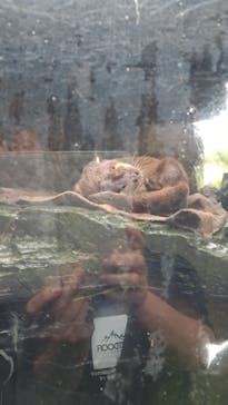 環境水族館アクアマリンふくしまに投稿された画像（2024/9/16）