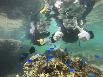 武藤潜水に投稿された画像（2024/9/16）