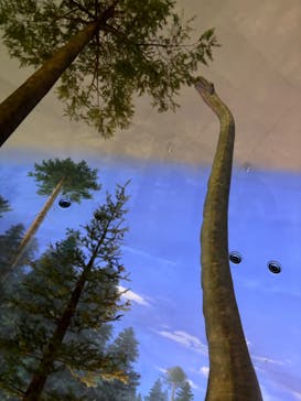 福井県立恐竜博物館に投稿された画像（2024/9/16）