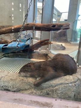 AQUARIUM × ART　atoaに投稿された画像（2024/9/16）