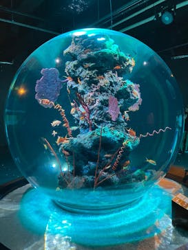 AQUARIUM × ART　atoaに投稿された画像（2024/9/16）