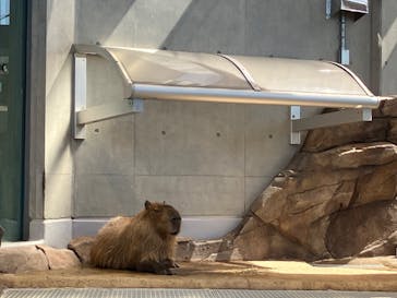 AQUARIUM × ART　atoaに投稿された画像（2024/9/16）