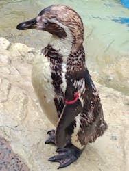 アクアワールド茨城県大洗水族館に投稿された画像（2024/9/16）