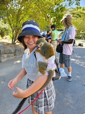 しろとり動物園に投稿された画像（2024/9/16）