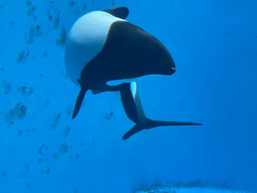 仙台うみの杜水族館に投稿された画像（2024/9/16）