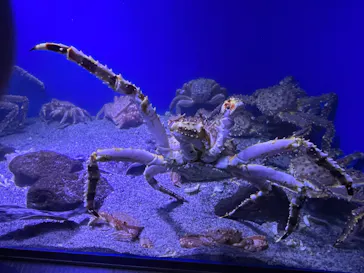 仙台うみの杜水族館に投稿された画像（2024/9/16）