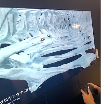 ギョギョッとサカナ★スター展　～お魚たちが教えてくれる海のこと～に投稿された画像（2024/9/16）